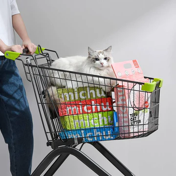 Elevated Living for Modern Cats